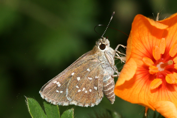 Image 400x300