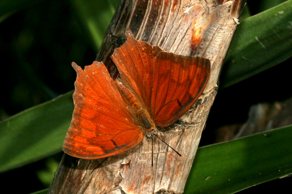 Image 400x300
