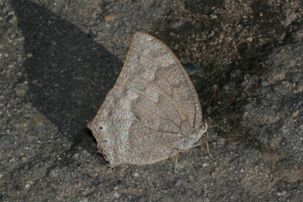 Image 400x300