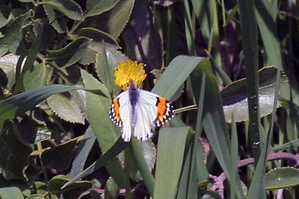 Image 400x300