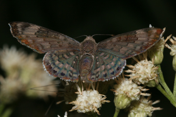 Image 400x300