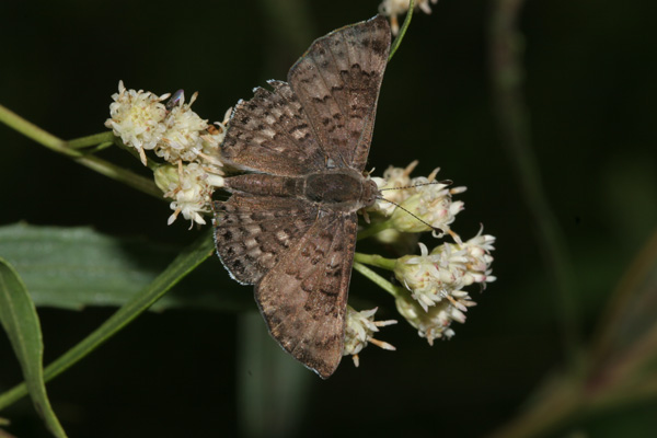 Image 400x300