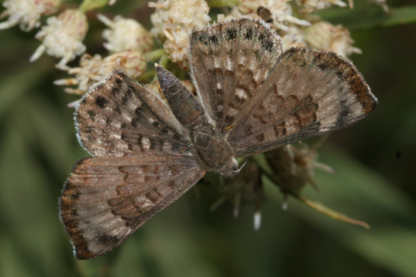 Image 400x300