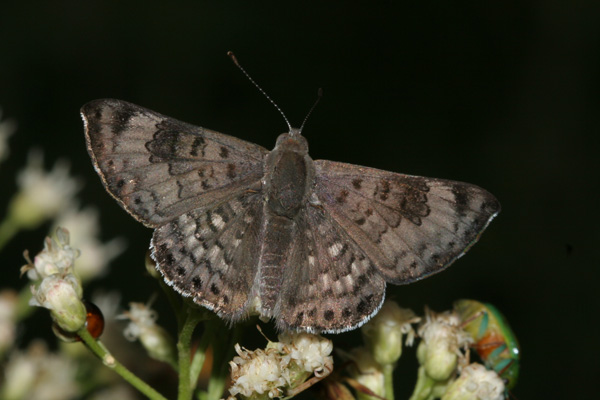 Image 400x300