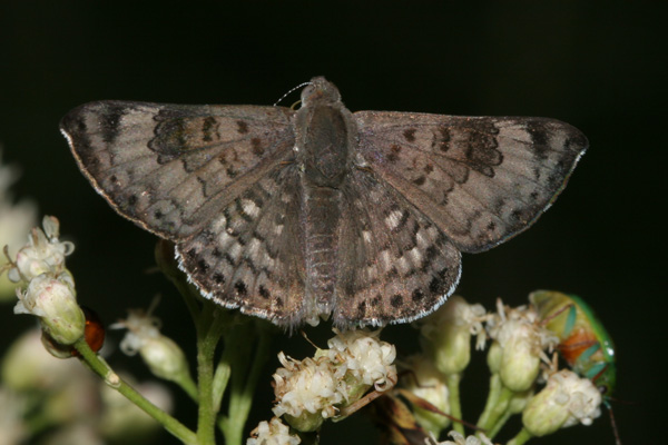 Image 400x300