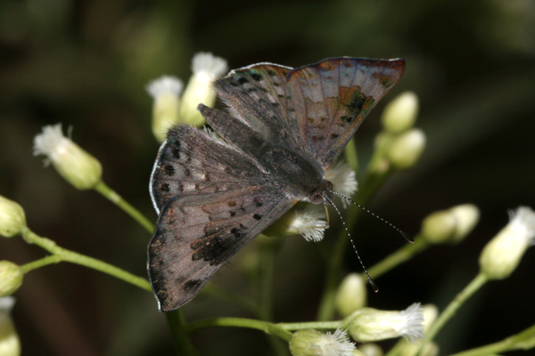 Image 400x300