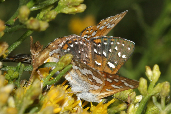 Image 400x300