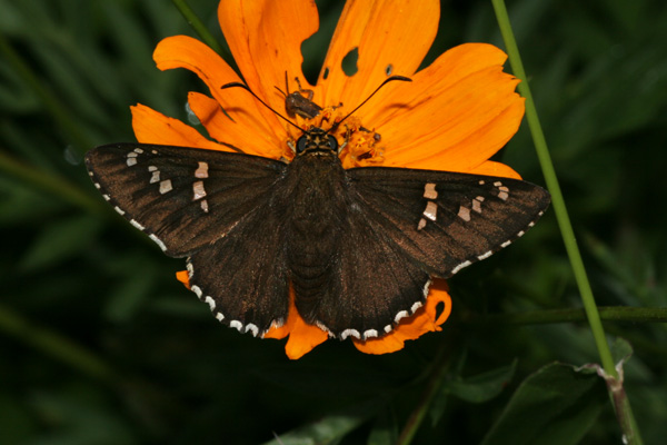 Image 400x300