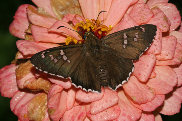 Image 400x300