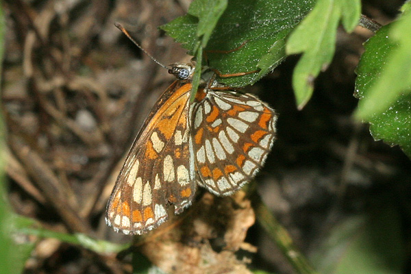 Image 400x300