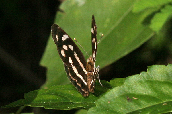Image 400x300
