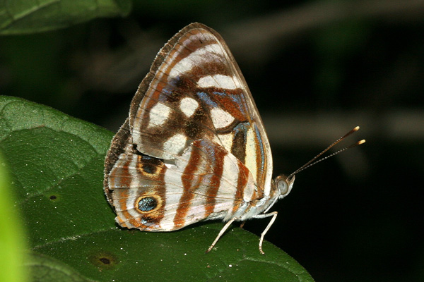 Image 400x300