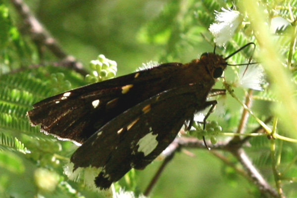 Image 400x300