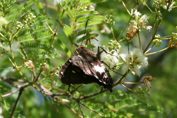 Image 400x300