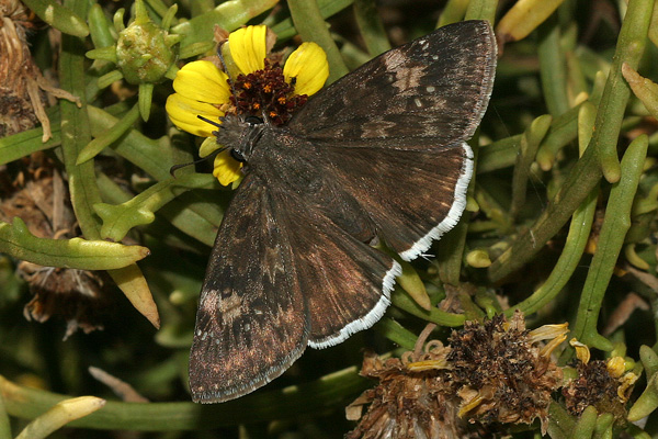 Image 400x300