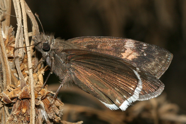 Image 400x300