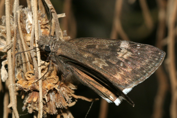 Image 400x300