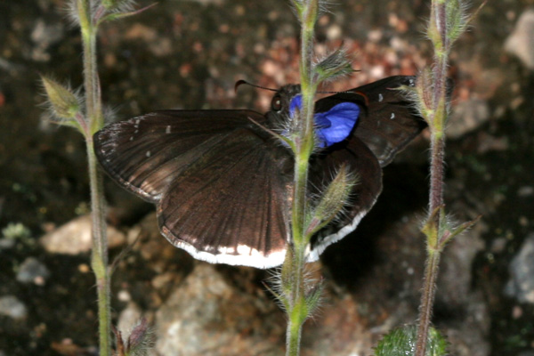 Image 400x300