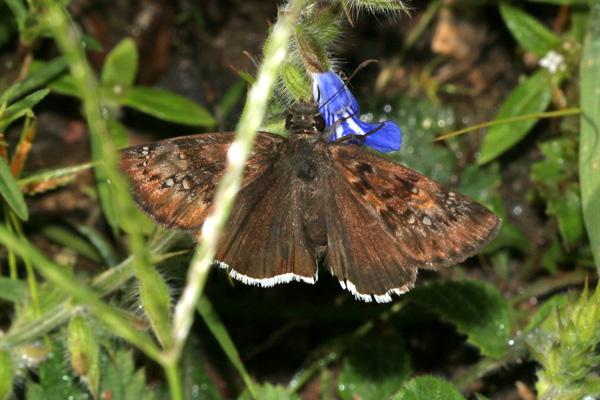 Image 400x300
