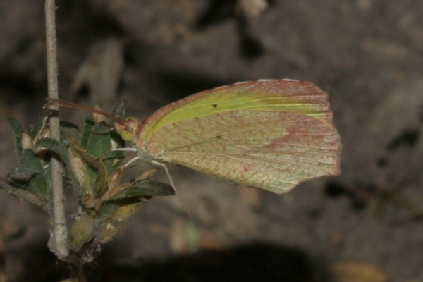 Image 400x300