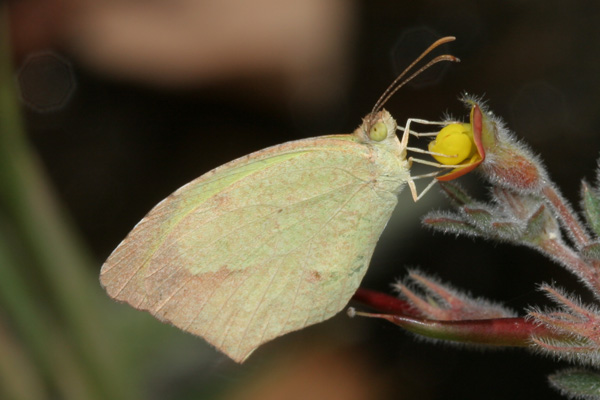 Image 400x300
