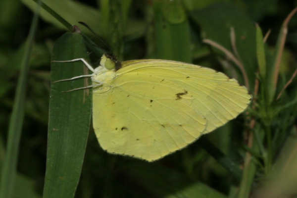 Image 400x300