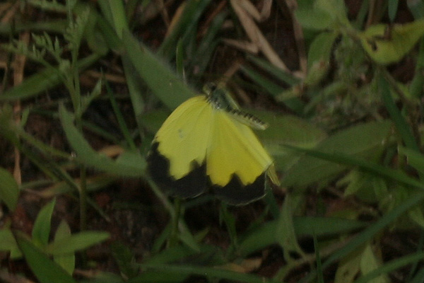 Image 400x300