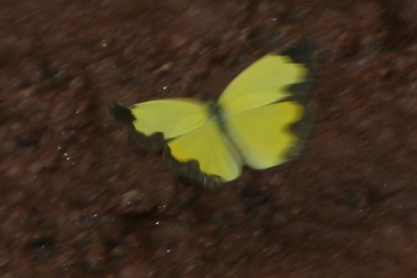 Image 400x300