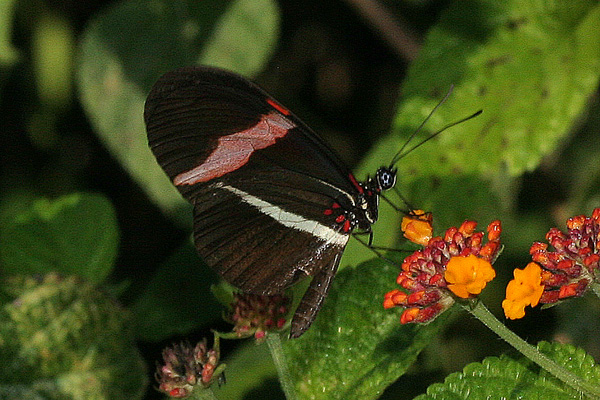 Image 400x300