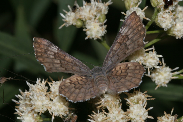 Image 400x300