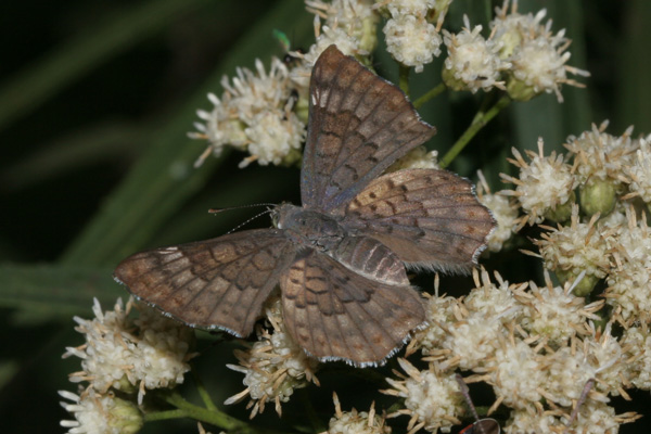 Image 400x300