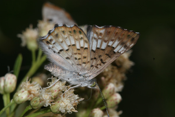 Image 400x300