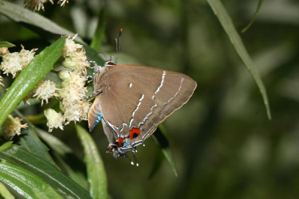 Image 400x300