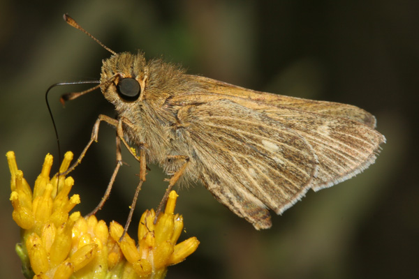 Image 400x300