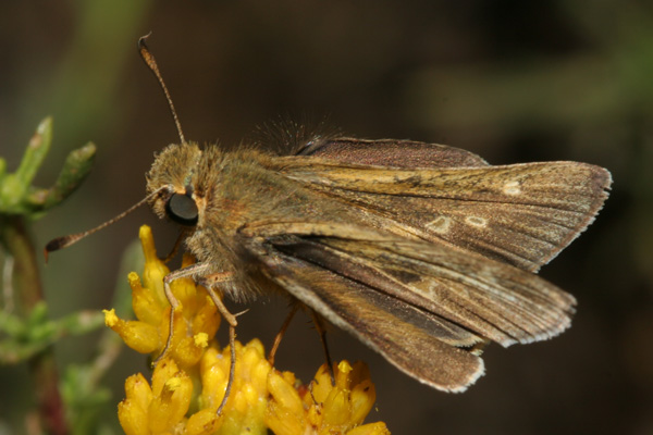 Image 400x300