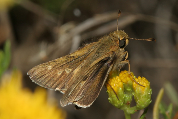 Image 400x300