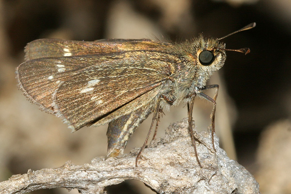 Image 400x300