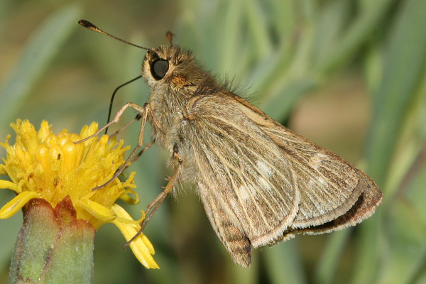 Image 400x300