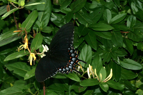 Image 400x300