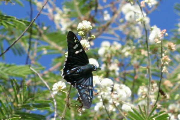 Image 400x300