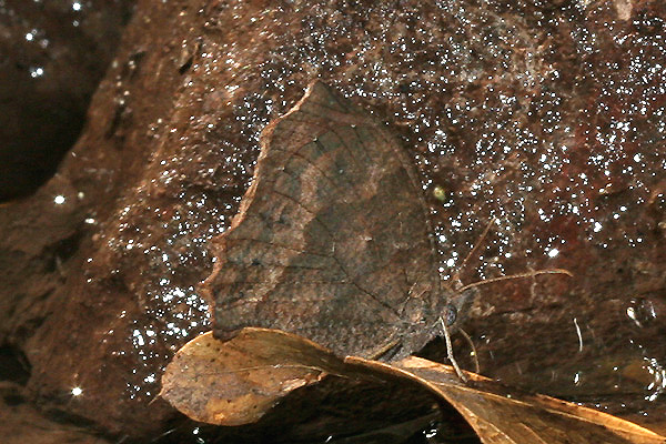 Image 400x300