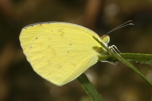 Image 400x300