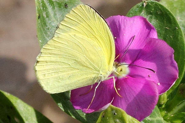 Image 400x300