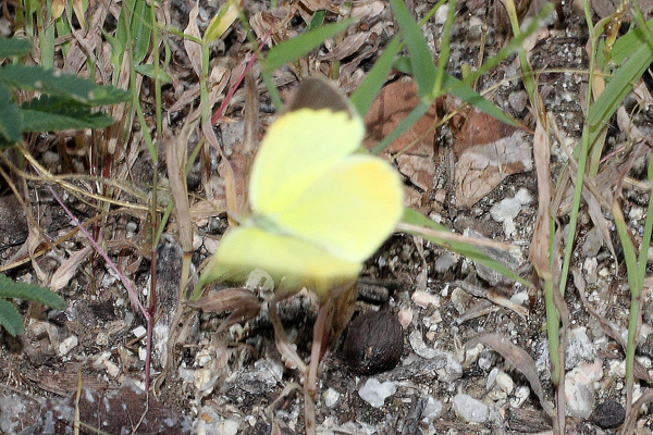 Image 400x300