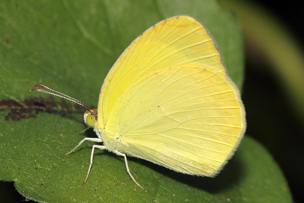 Image 400x300