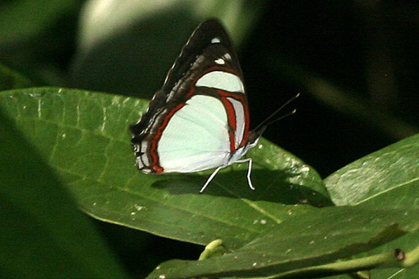 Image 400x300