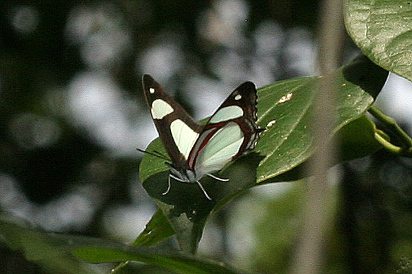 Image 400x300