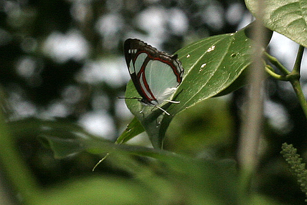 Image 400x300
