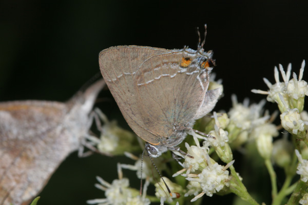 Image 400x300