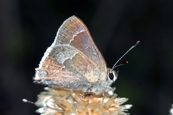 Image 400x300